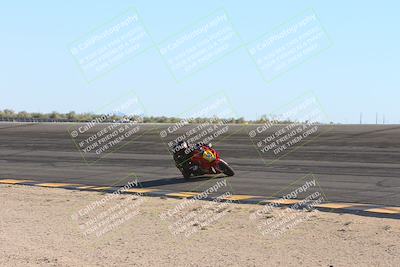 media/Nov-17-2024-CVMA (Sun) [[1fec520723]]/Race 11-Amateur Supersport Open/